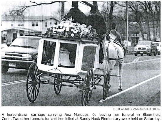 Horse-Drawn Carriage Photo